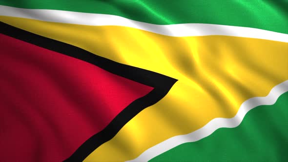 Flag of Guyana Waving in the Wind alt