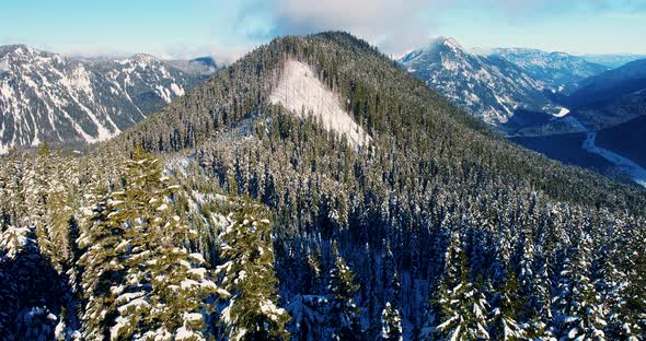 Mountain Forest Triangle Shaped Peak Lines In Nature Natural Patterns Aerial Helicopter View alt