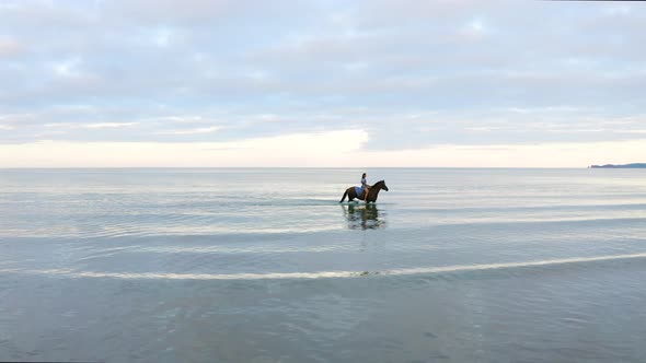 A young beautiful brunette girl with long hair in a blue flowing dress rides a brown horse on Donaba alt