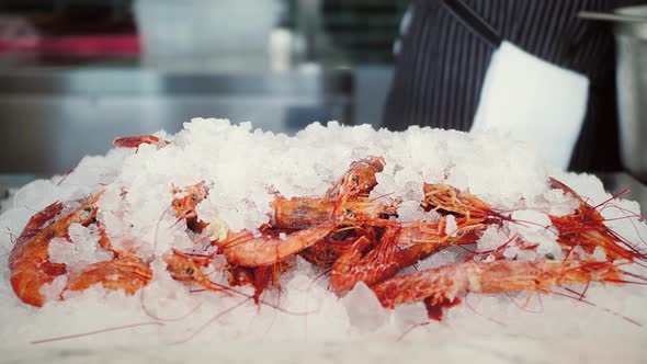 Modern Seafood Restaurant Fresh Fish and Shrimps on Ice Display Chef Choosing Tasty Ingredients for alt