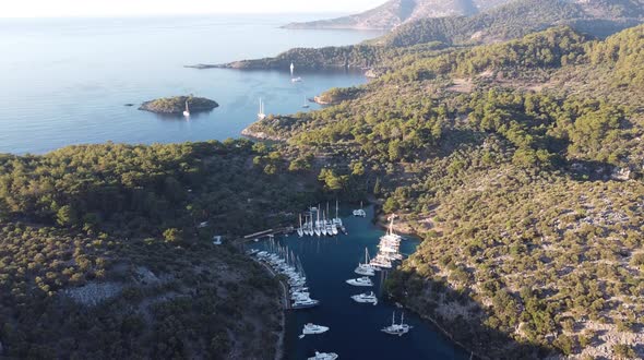 Yachts in the marina alt