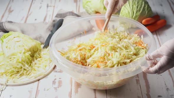 Female Hands in Gloves Mixing Chopped Cabbage in a Big Bowl for Fermentation alt