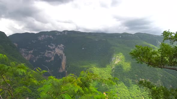 Flying between trees revealing the landscape of Sumidero canyon alt