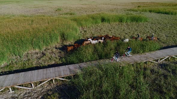 Friends Cycling in Nature alt