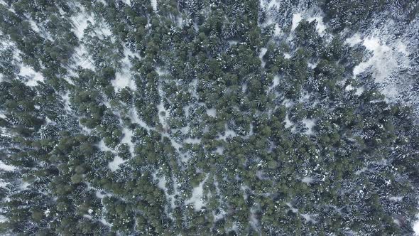 Aerial Wide Angle View at Frozen Lake in the Middle of Winter Forest alt