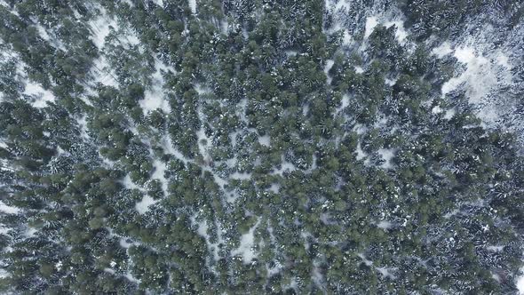 Aerial Wide Angle View at Frozen Lake in the Middle of Winter Forest