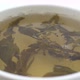 Green Tea In A White Cup - VideoHive Item for Sale