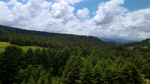View of forest and lakes in Mexico alt