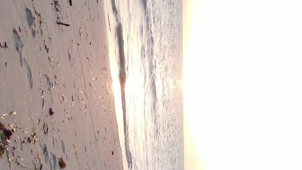 Vertical Video of a Coastal Landscape in Zanzibar Tanzania Aerial View alt