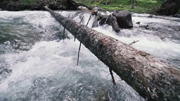 Mountain River with Rocks in Wood Slow Motion Footage Dolomites South Tyrol Italy alt