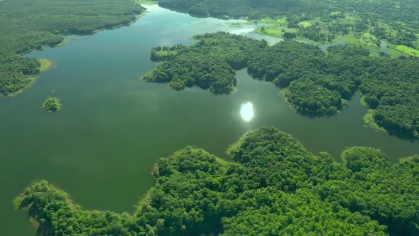 Video 4K Aerial view green forest and complete lake.