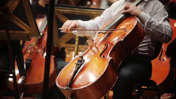 Person performing on a cello