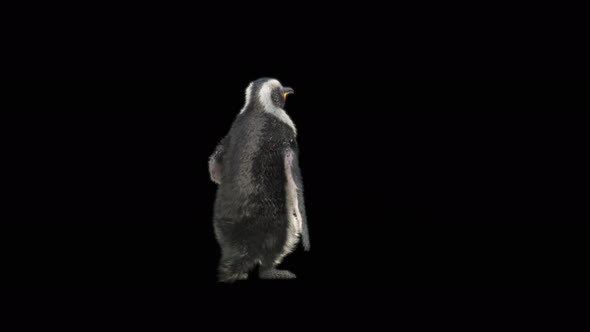 80 Penguin Dancing 4K alt