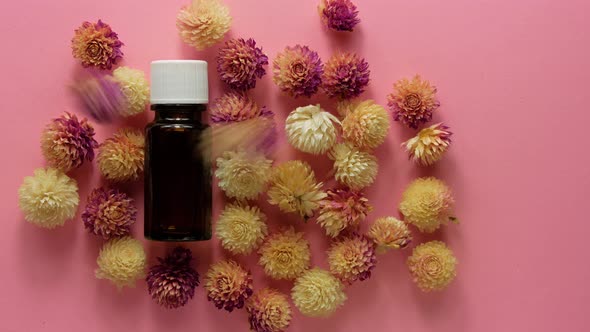 Herbal essential oil glass bottle mockup pink flowers background. Alternative medicine skin care 4K