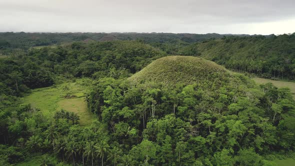 Round Unique Hill in Middle of Chocolate Hills Aerial View