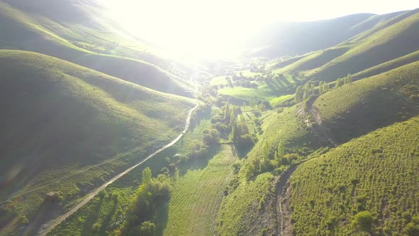 going to the sun in my dream, on the early morning, after sunrise. alt