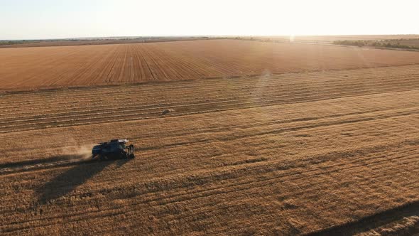 Aerial Shot of an Advanced Combine Harvesting Wheat Crops at Shining Sunset
