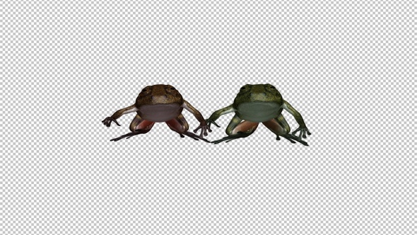Jumping Frogs - Green VS Brown - Front View