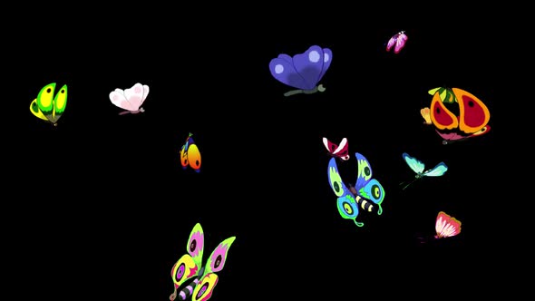 Colorful butterflies come from all directions and fly away alpha mate alt