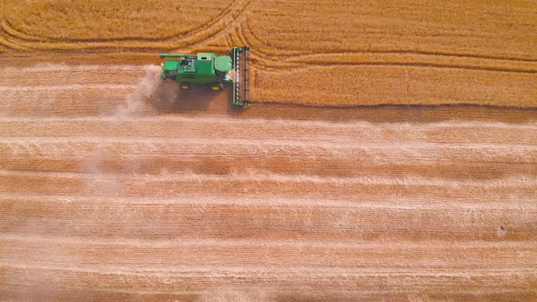  Impressive Flight Over a Working Combine Harvesting Tons of Ripe Barley alt