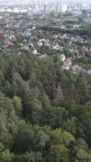 Aerial View of the Border of the Metropolis and the Forest alt