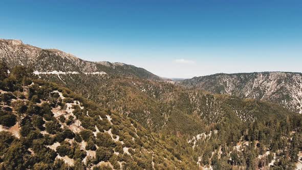 Aerial bird's eye view of mountains densely covered with brown trees in California, USA alt