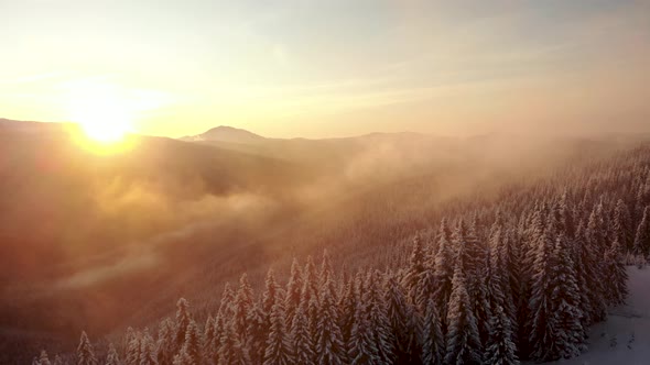 Drone Aerial Spin Around Winter Forest Unveiling Mountain Valley alt
