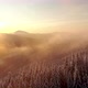 Drone Aerial Spin Around Winter Forest Unveiling Mountain Valley - VideoHive Item for Sale