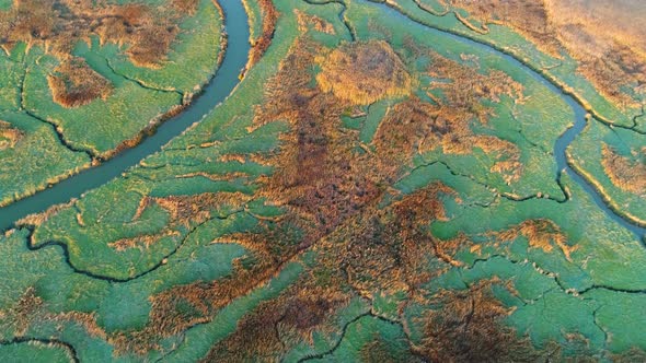 Aerial view of small river crossing wetland during sunset, Netherlands. alt