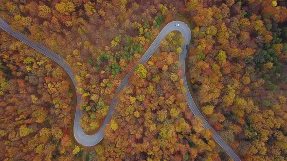 Serpentine Road Between Trees in Autumn Aerial View