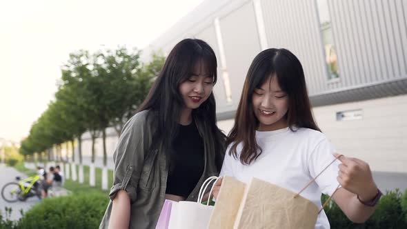 Happy Young Asian Women Revisioning Purchases After Shopping Outdoors alt