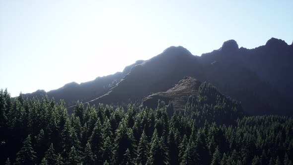 Wide Angle Shot of Mountains Landscape with Spring Forest alt