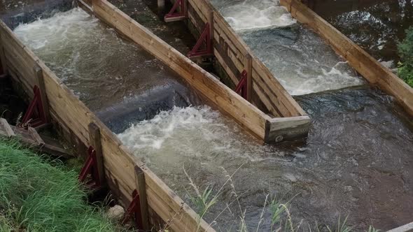 Wooden trays for the passage of fish for spawning. Small river in summer.