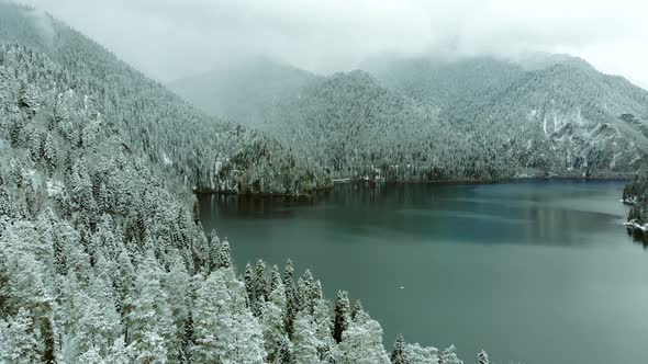 Drone flight from behind the trees covered with snow in winter to the lake. alt