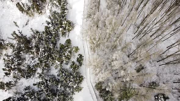 Top-down view of wooden pathway on hillside and forest alt