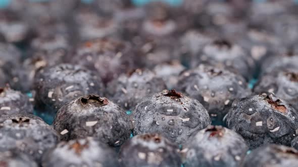 Super Closeup of Blueberry Harvest with Water Drops