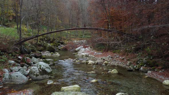 Autumn Mountain River alt