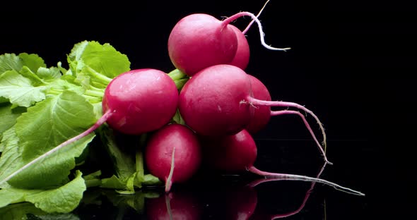 fresh radish. High quality super macro  alt