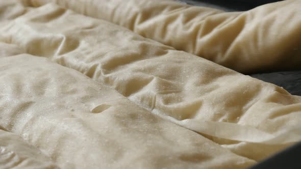 Row of rolled thin sheets of dough with filling in  baking tray  4K 2160p 30fps UHD footage - Homema alt