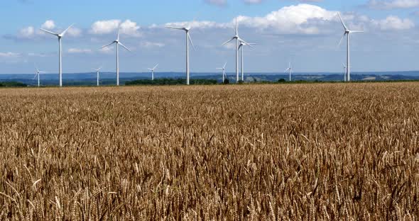 950067 Wind Turbines with Blue Sky, near Caen in Normandy, Real Time 4K alt