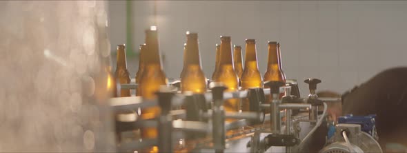 Beer bottles collected by factory worker alt