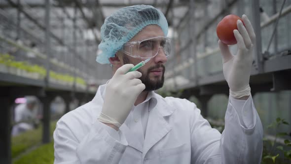 Close-up of Confident Young Handsome Man Making Injection To Tomato. Caucasian Male Scientist alt