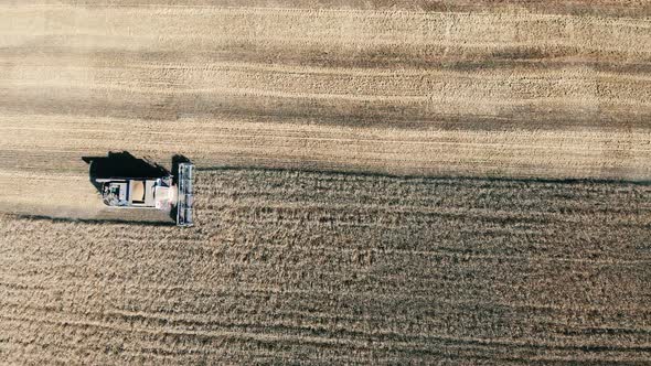 A Harvester Driving on a Field, Plowing at a Farm. Harvesting Concept alt