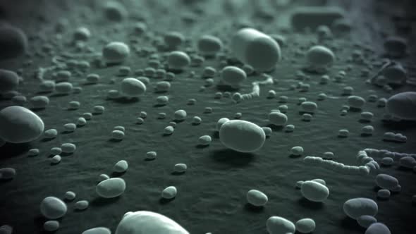 Microscopic view of bacterias with inspiring background. Loopable animation. HD alt