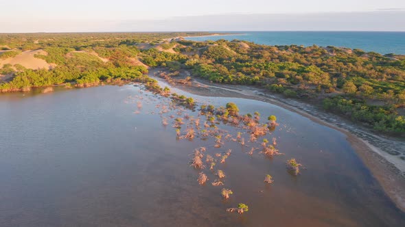 Flight over the mangroves and dunes of Bani in sunny day, overlooking the sand and the blue sea, tak alt