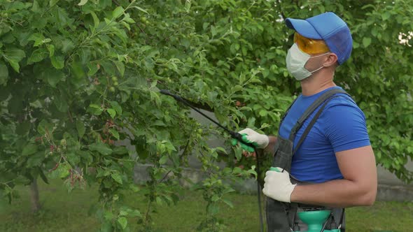 Man Farmer Worker Spraying Pesticide Treatment on Fruit Garden alt