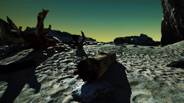 Hyperlapse of Logs on Sand Beach alt