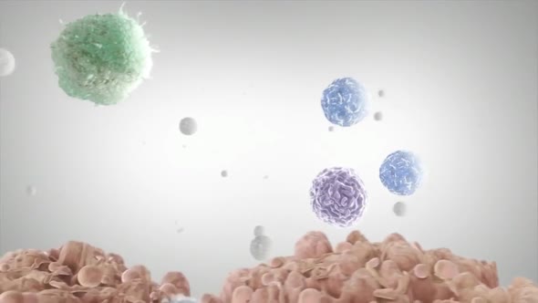 Macrophage and tumor cells. Human digestive system alt