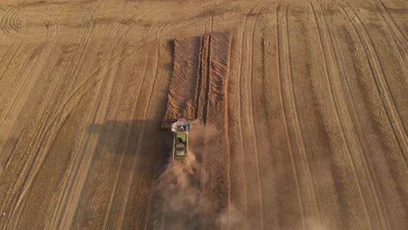Aerial shot: flying above combine harvesting wheat at sunset