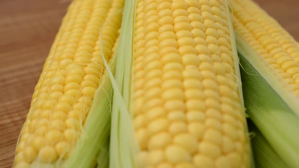 Corn 2 alt
